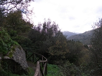 cantara gurne23122011 227